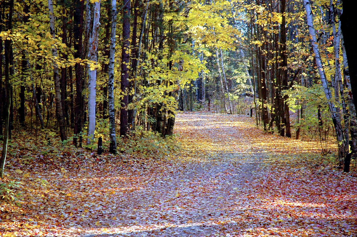 DSC_0090.JPG