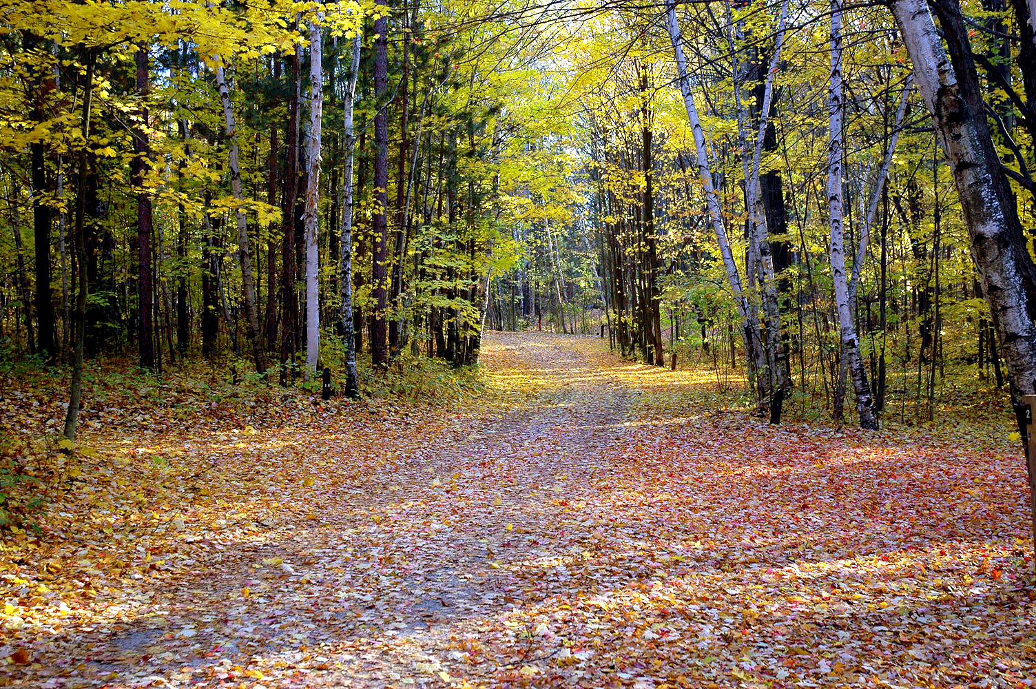 DSC_0103.JPG