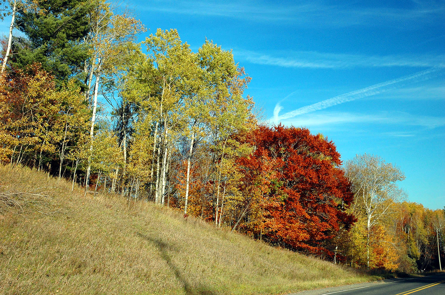 DSC_0111.JPG