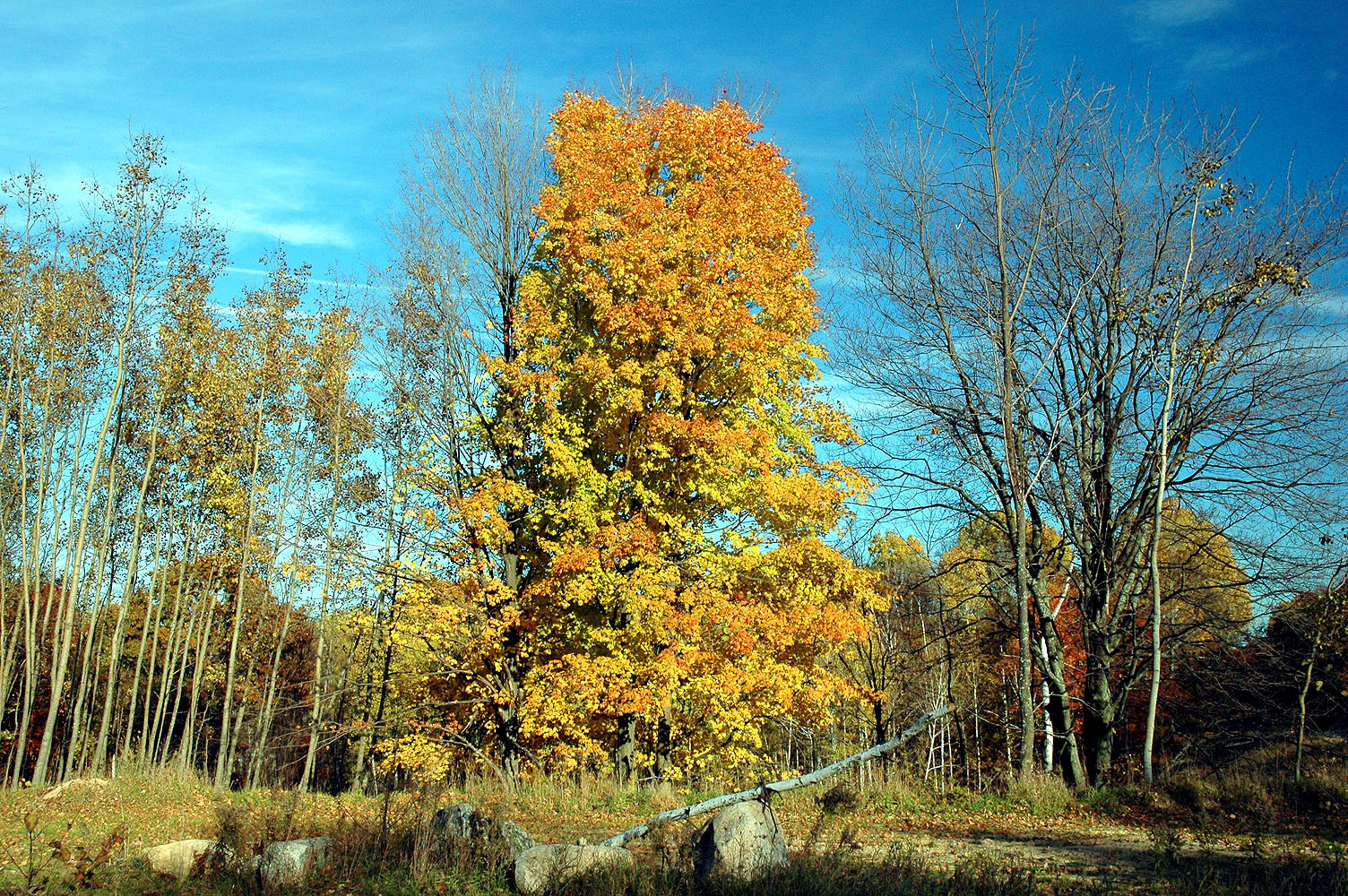 DSC_0114.JPG