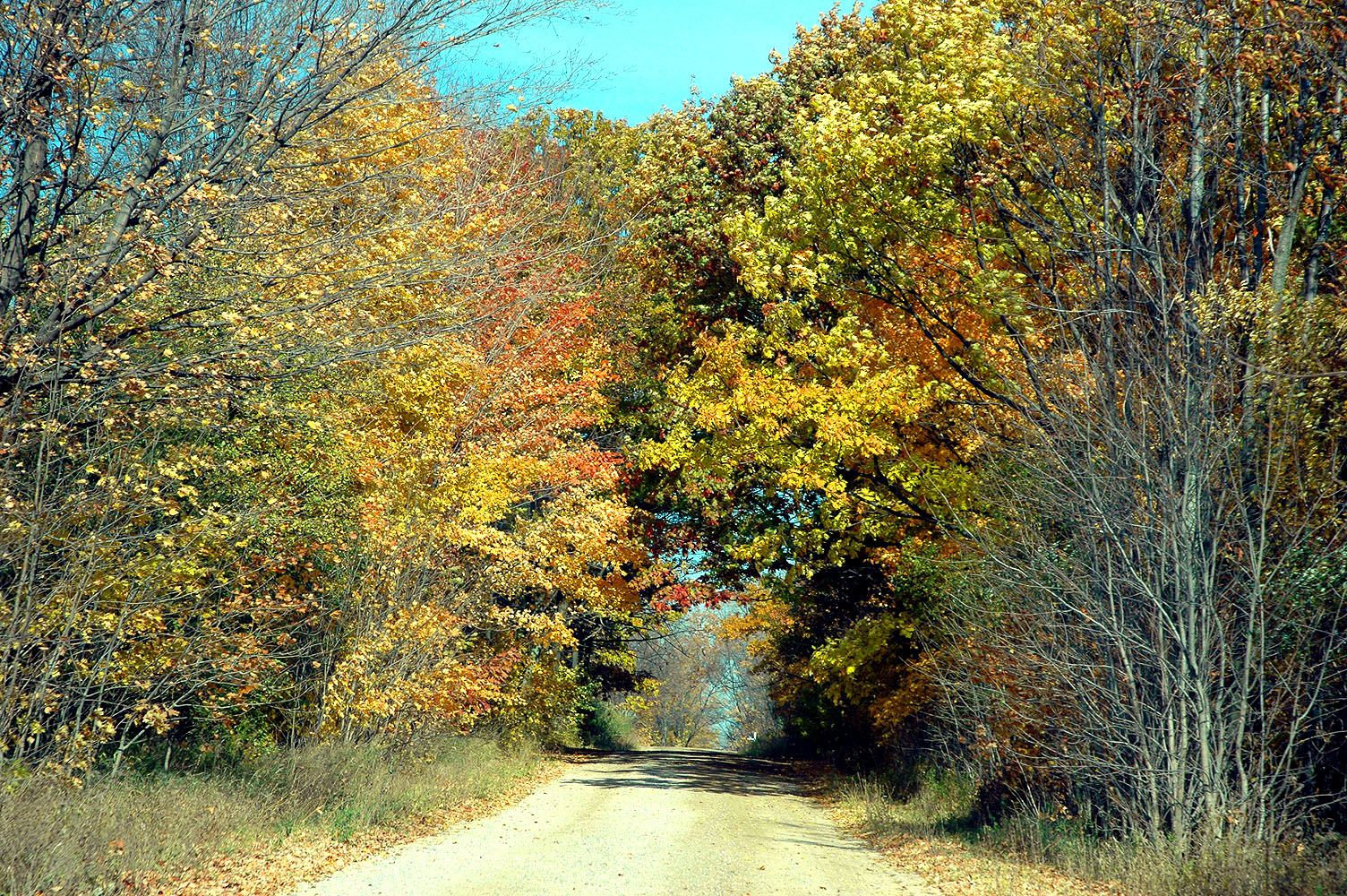 DSC_0169.JPG