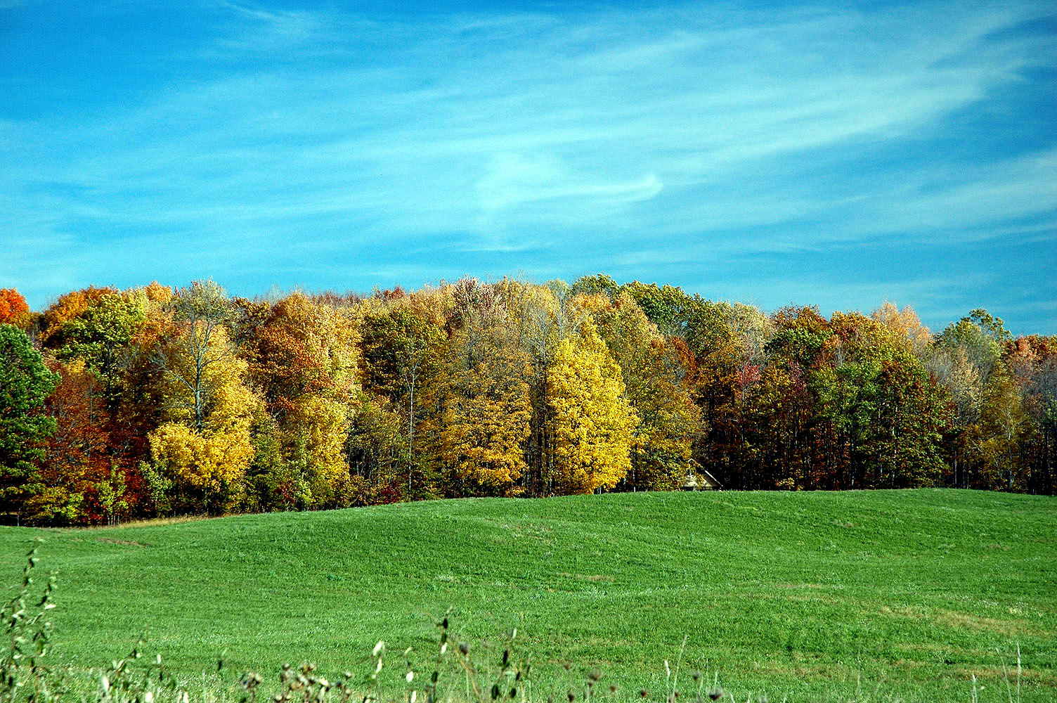 DSC_0170.JPG