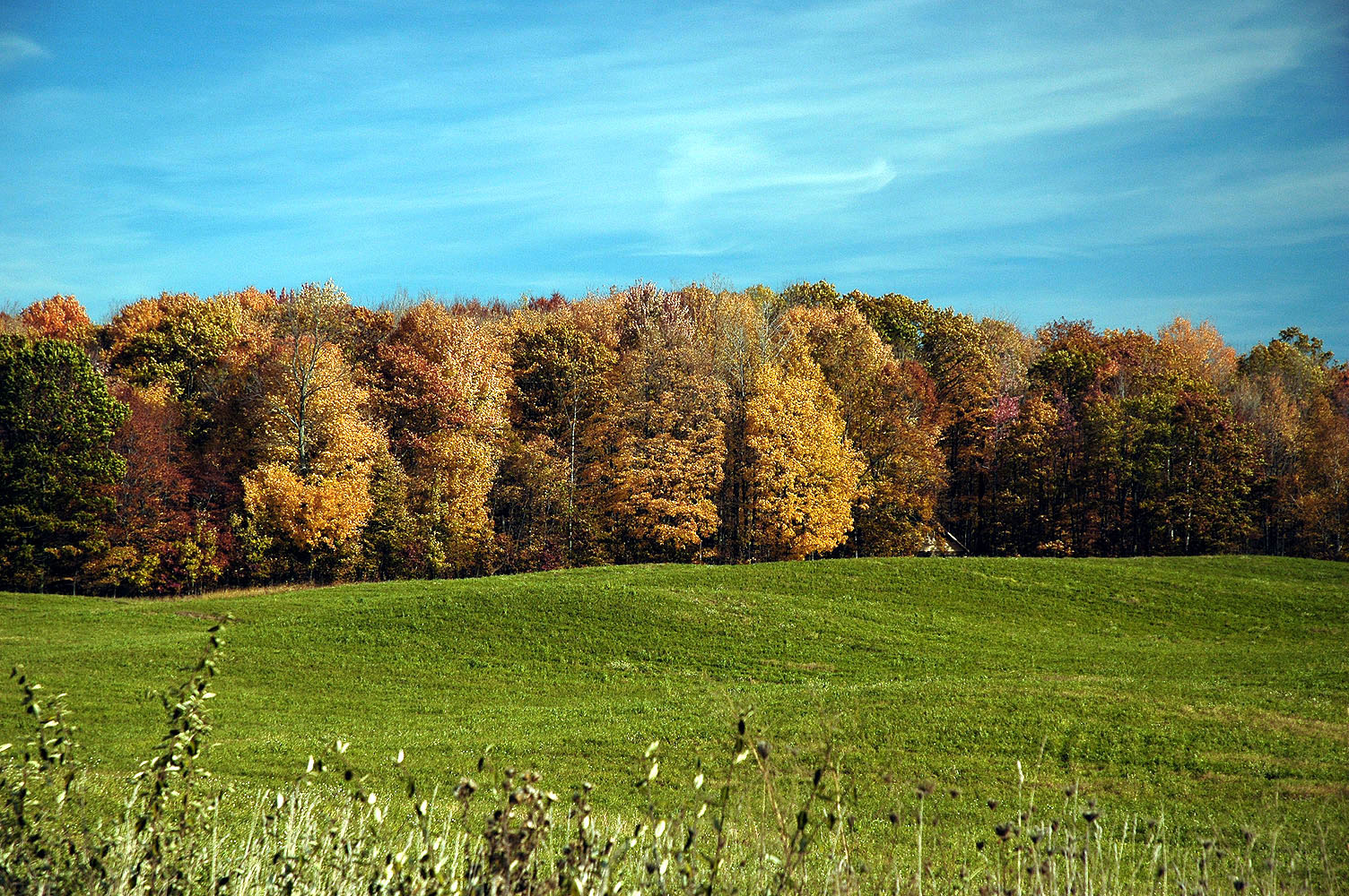 DSC_0171.JPG