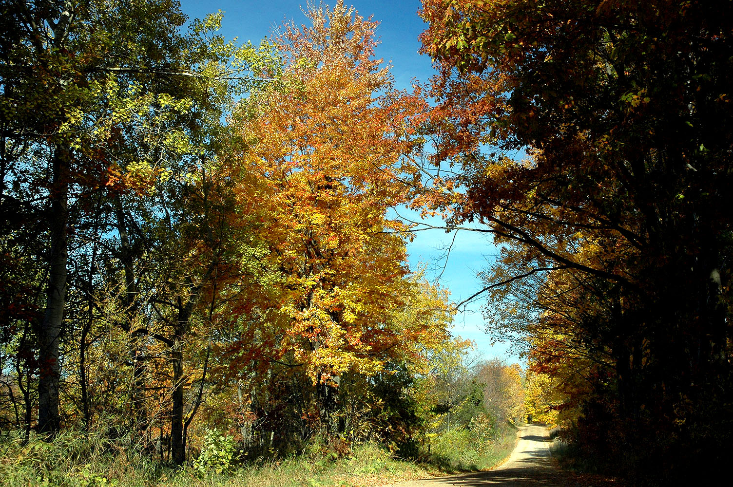 DSC_0172.JPG