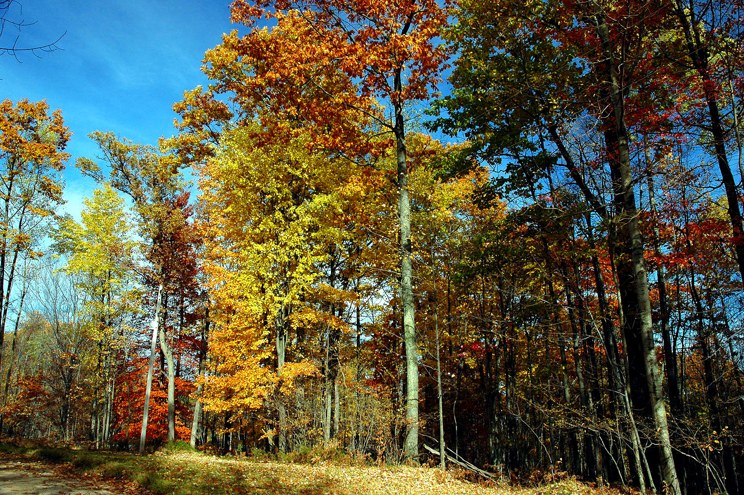 DSC_0184.JPG