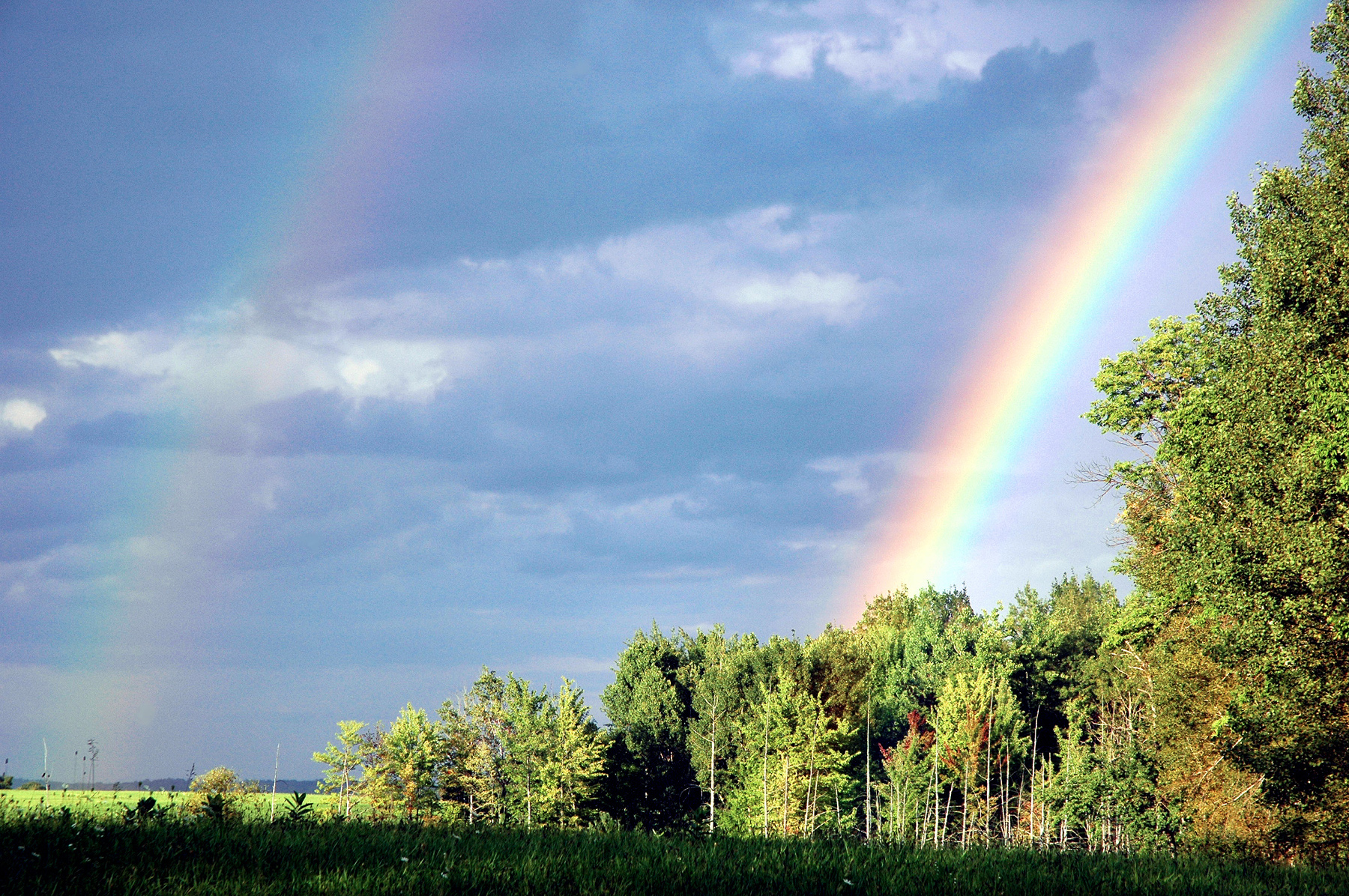DSC_1009 - 4011 - Rainbow - .JPG