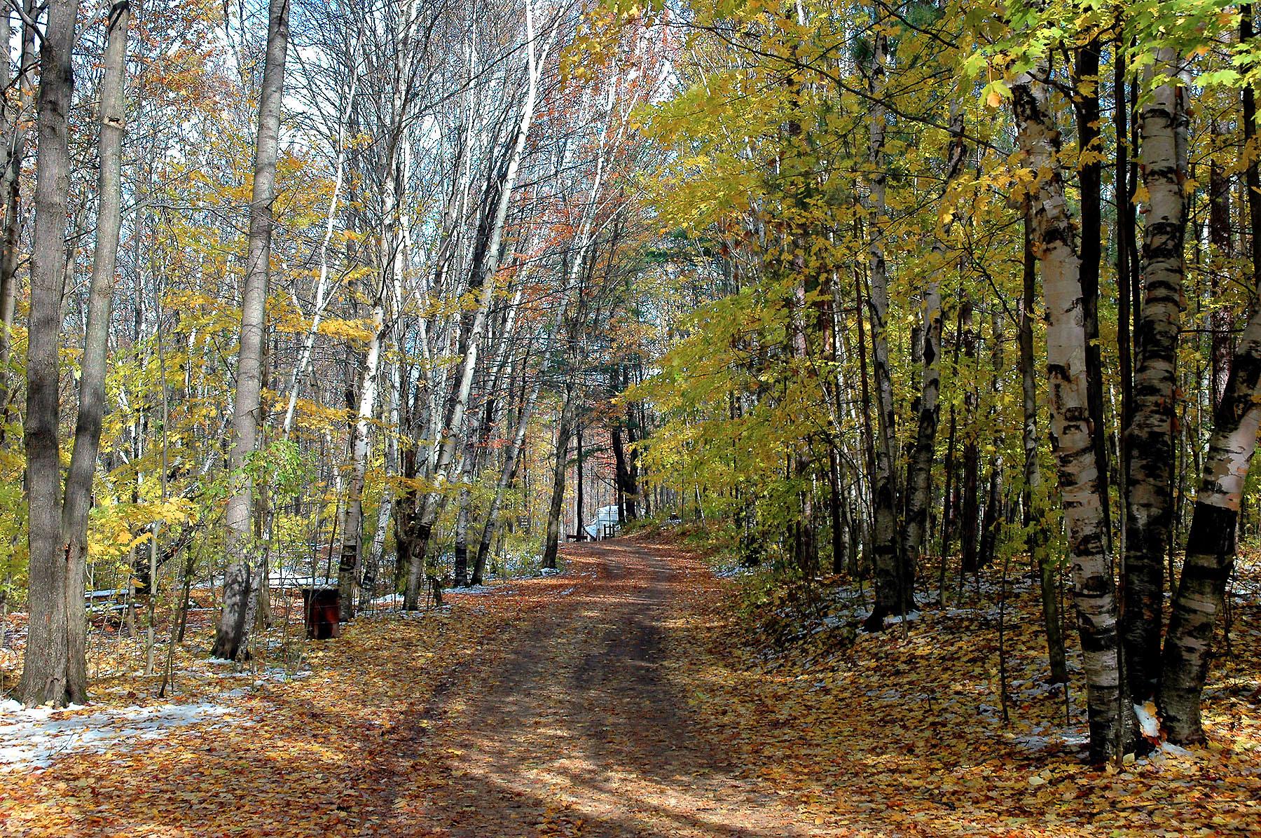 DSC_4121.JPG