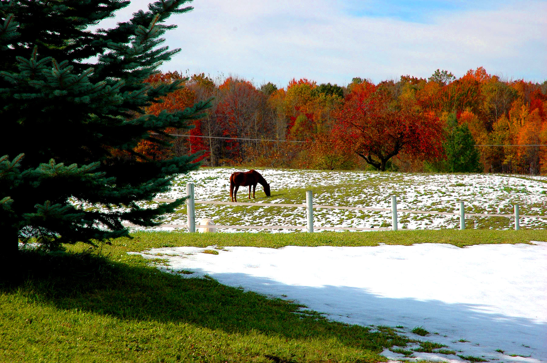DSC_4145.JPG