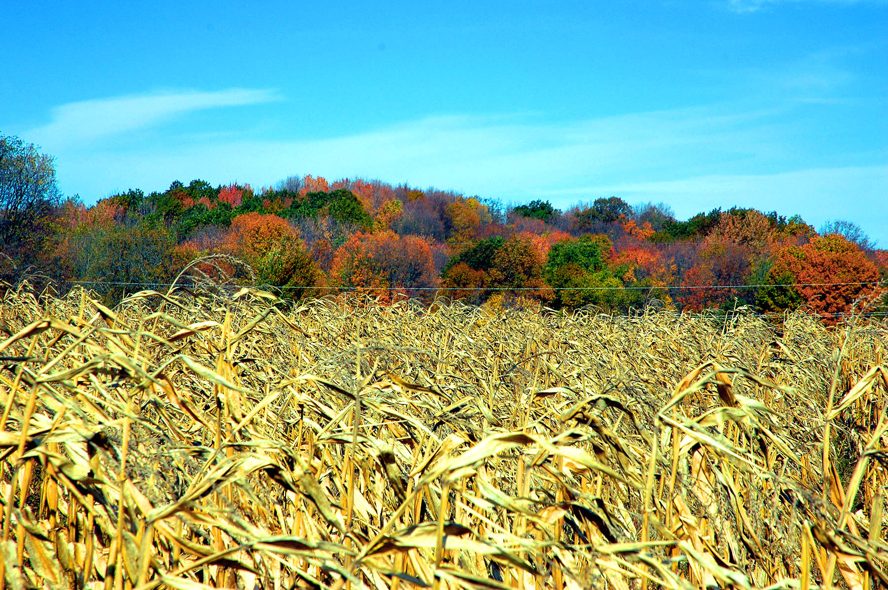 DSC_4149.JPG