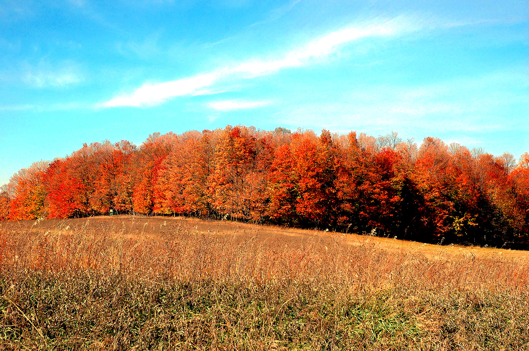 DSC_4151.JPG