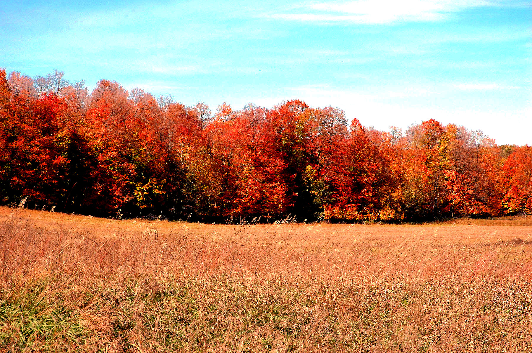 DSC_4152.JPG