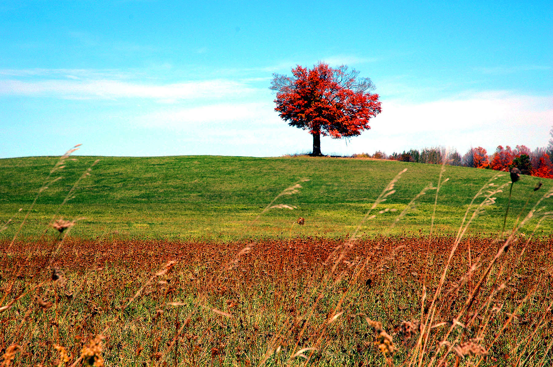 DSC_4154.JPG