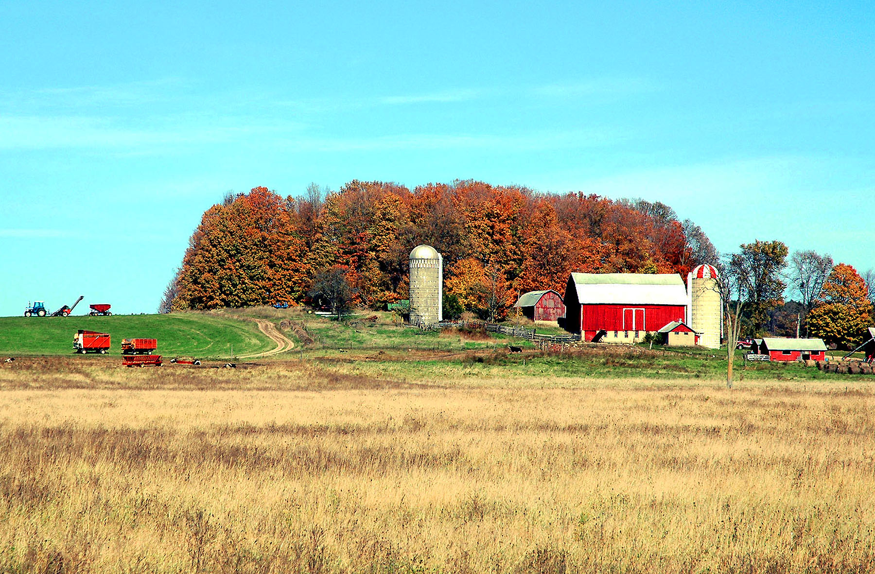 DSC_4156.JPG