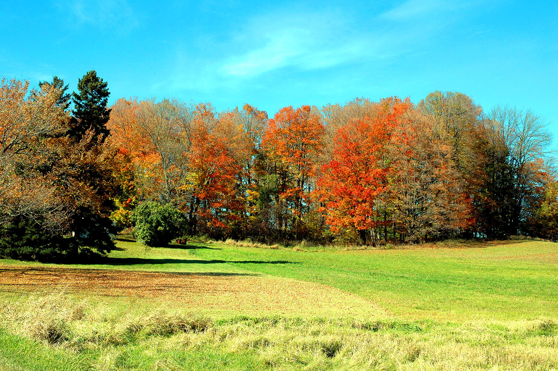 DSC_4158.JPG