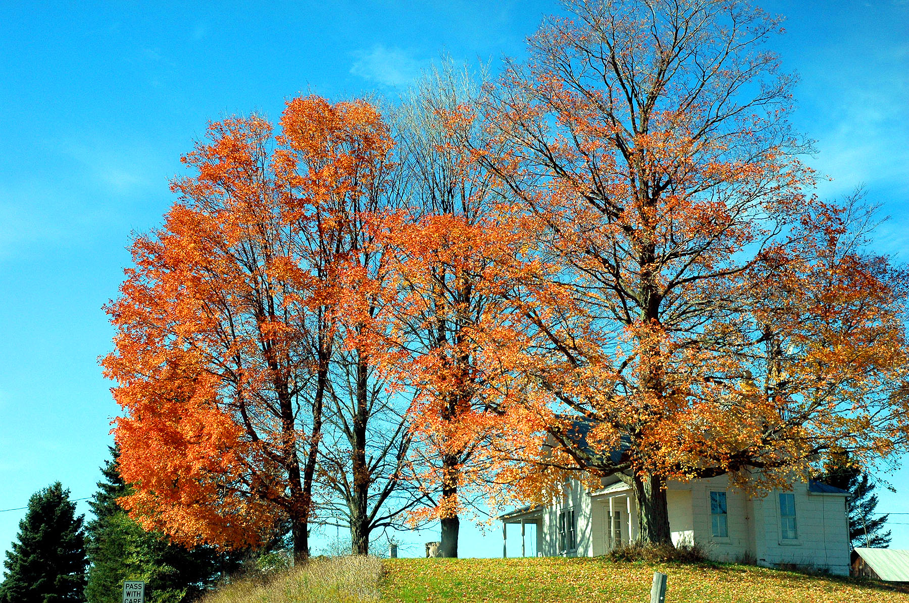 DSC_4161.JPG
