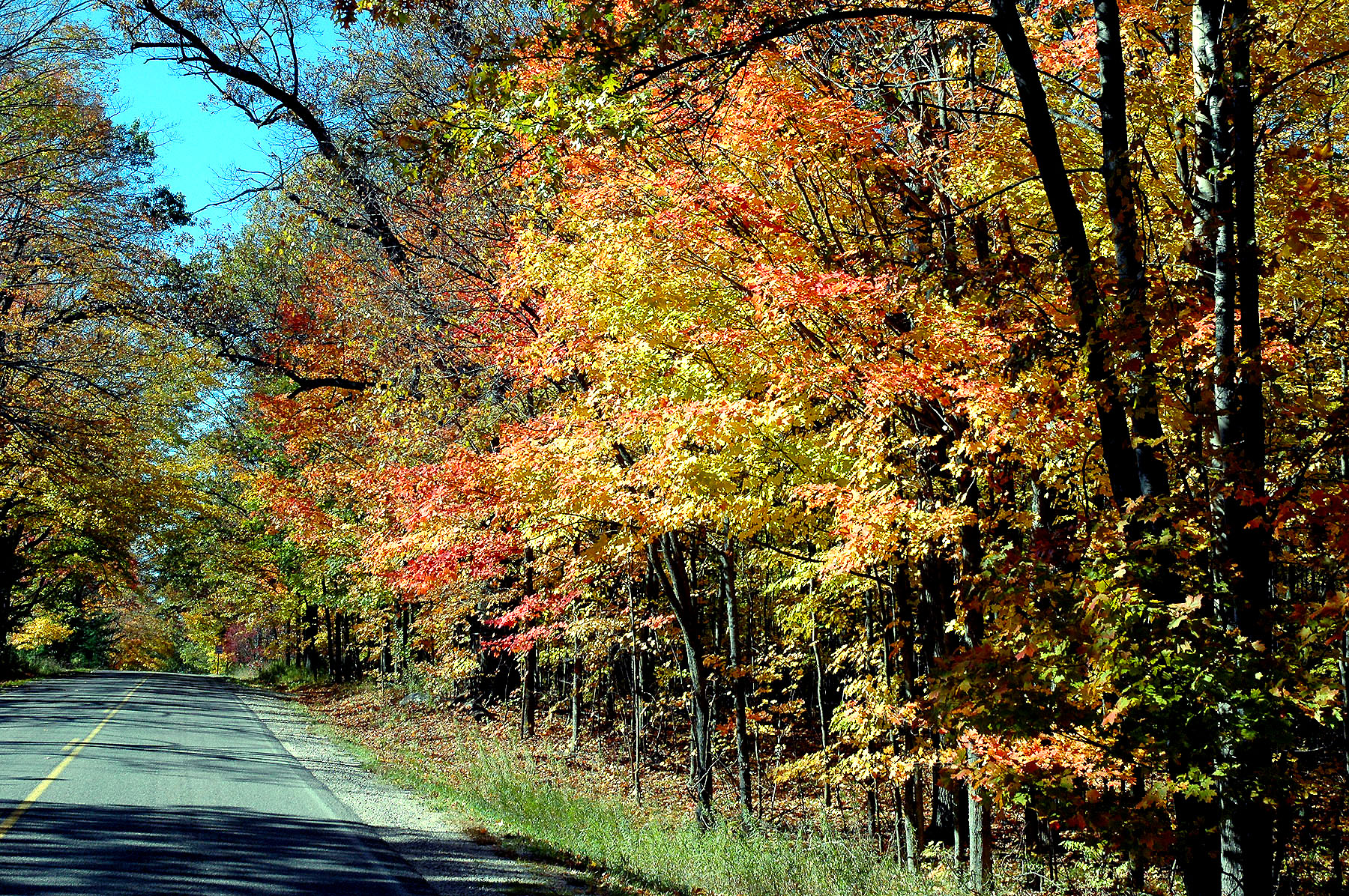 DSC_4166.JPG