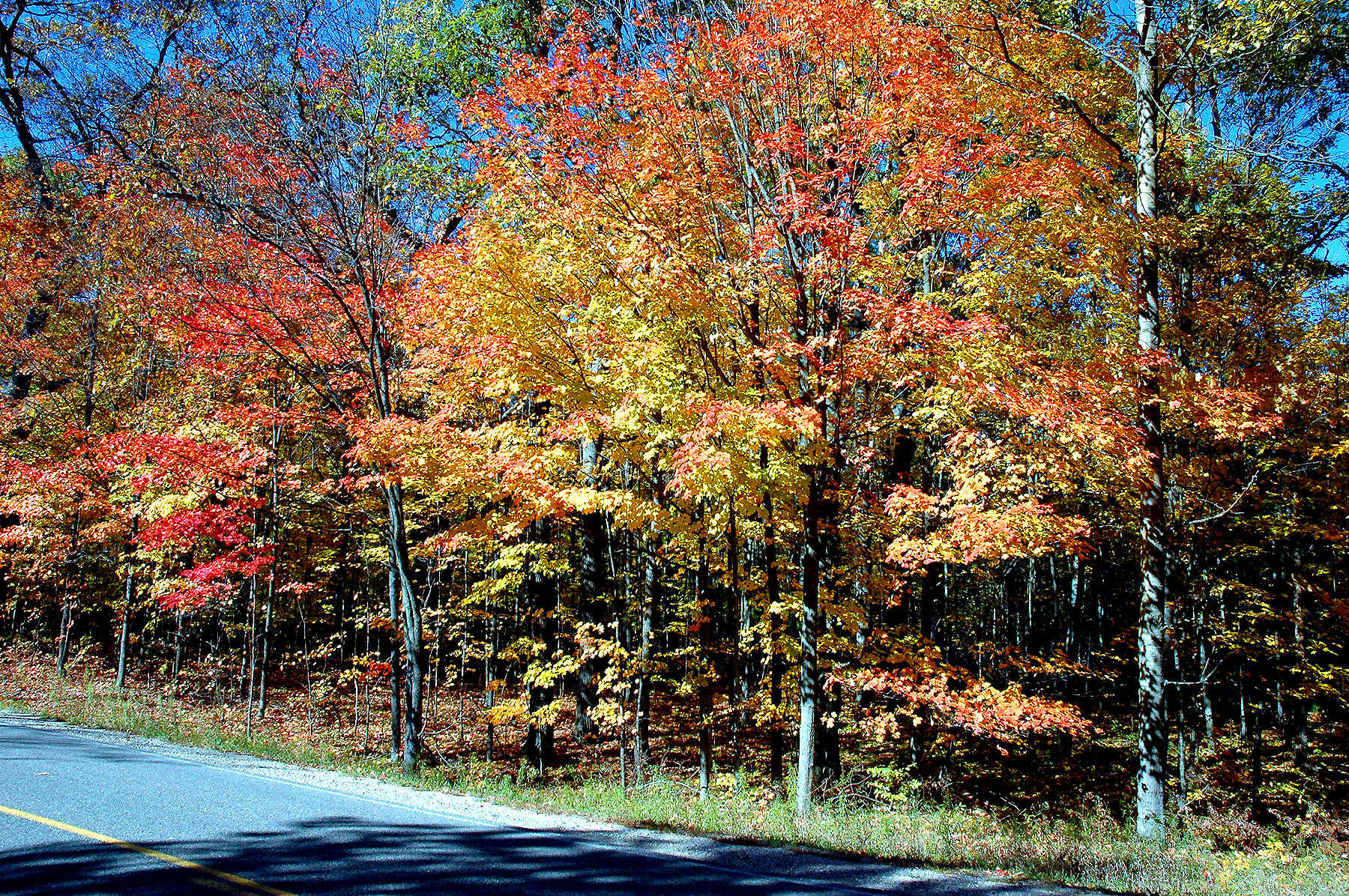 DSC_4168.JPG