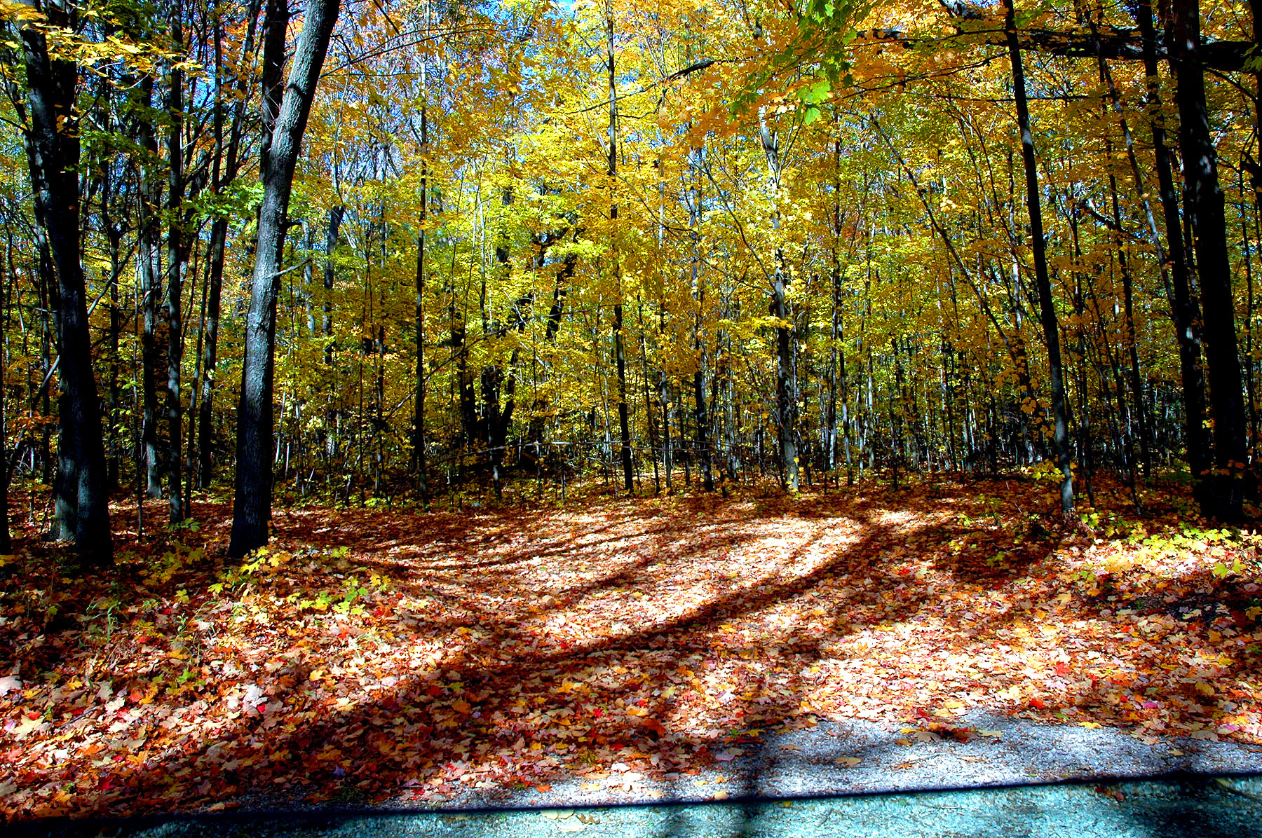 DSC_4169.JPG