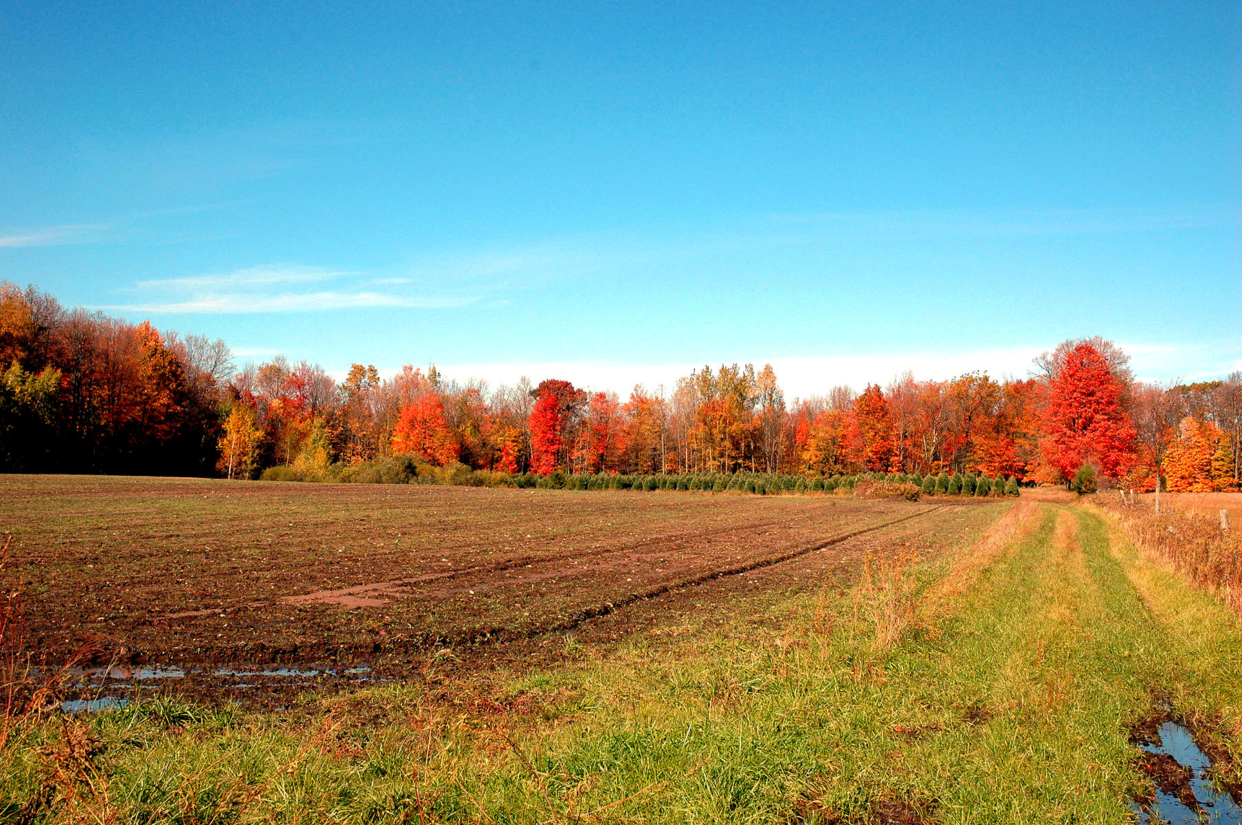 DSC_4170.JPG