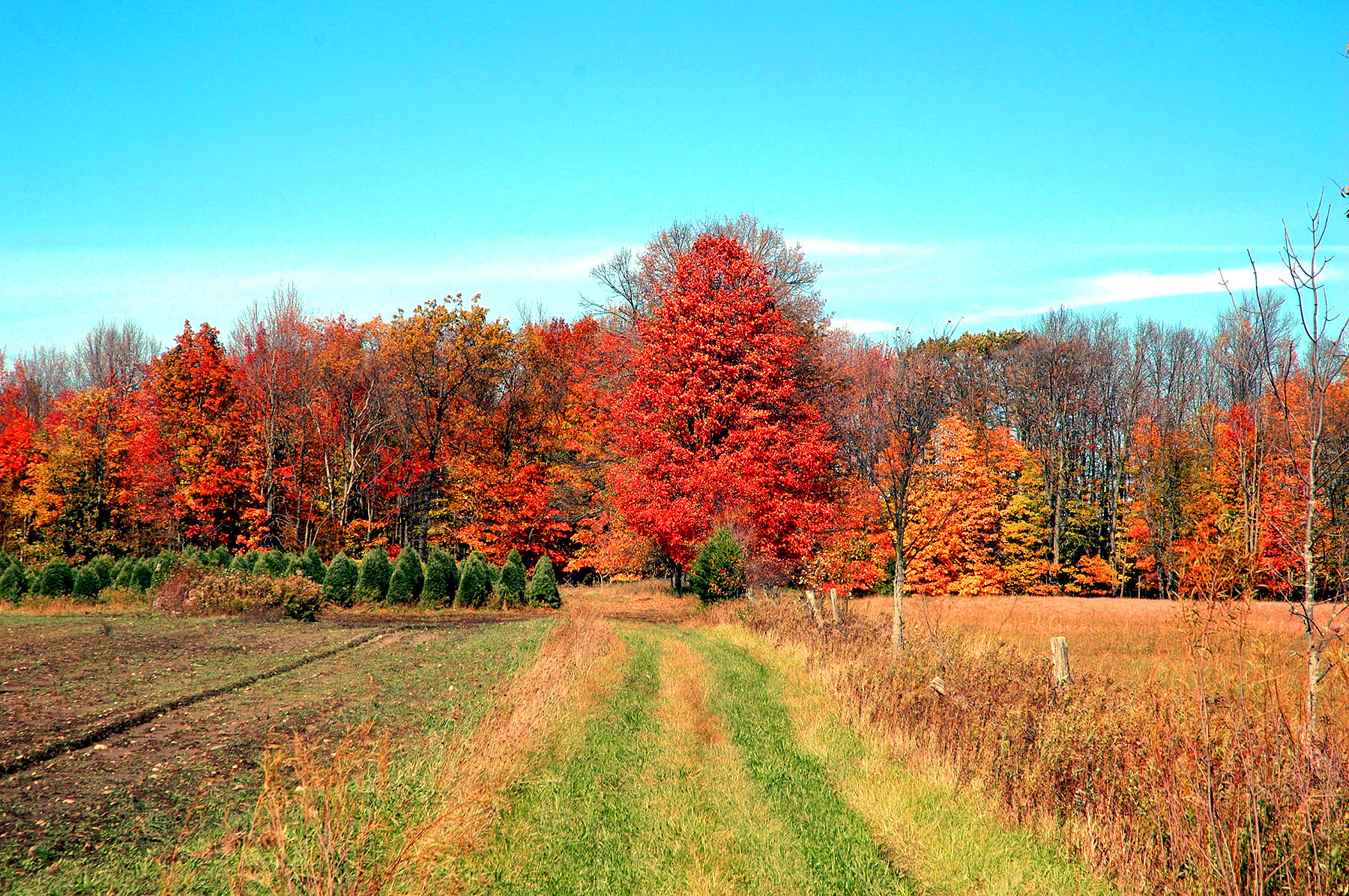 DSC_4171.JPG