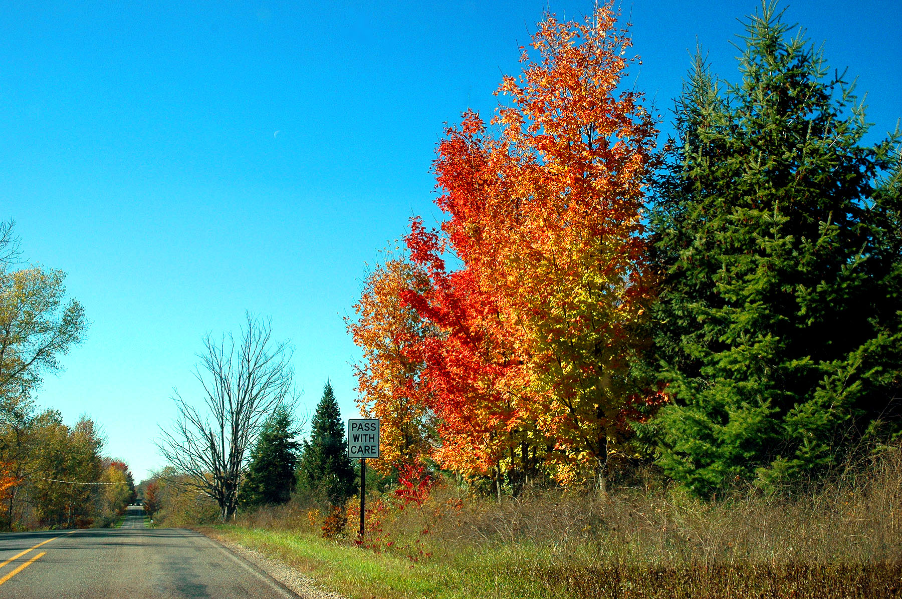DSC_4172.JPG