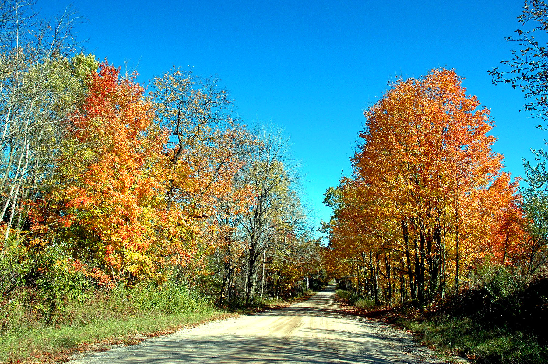 DSC_4173.JPG