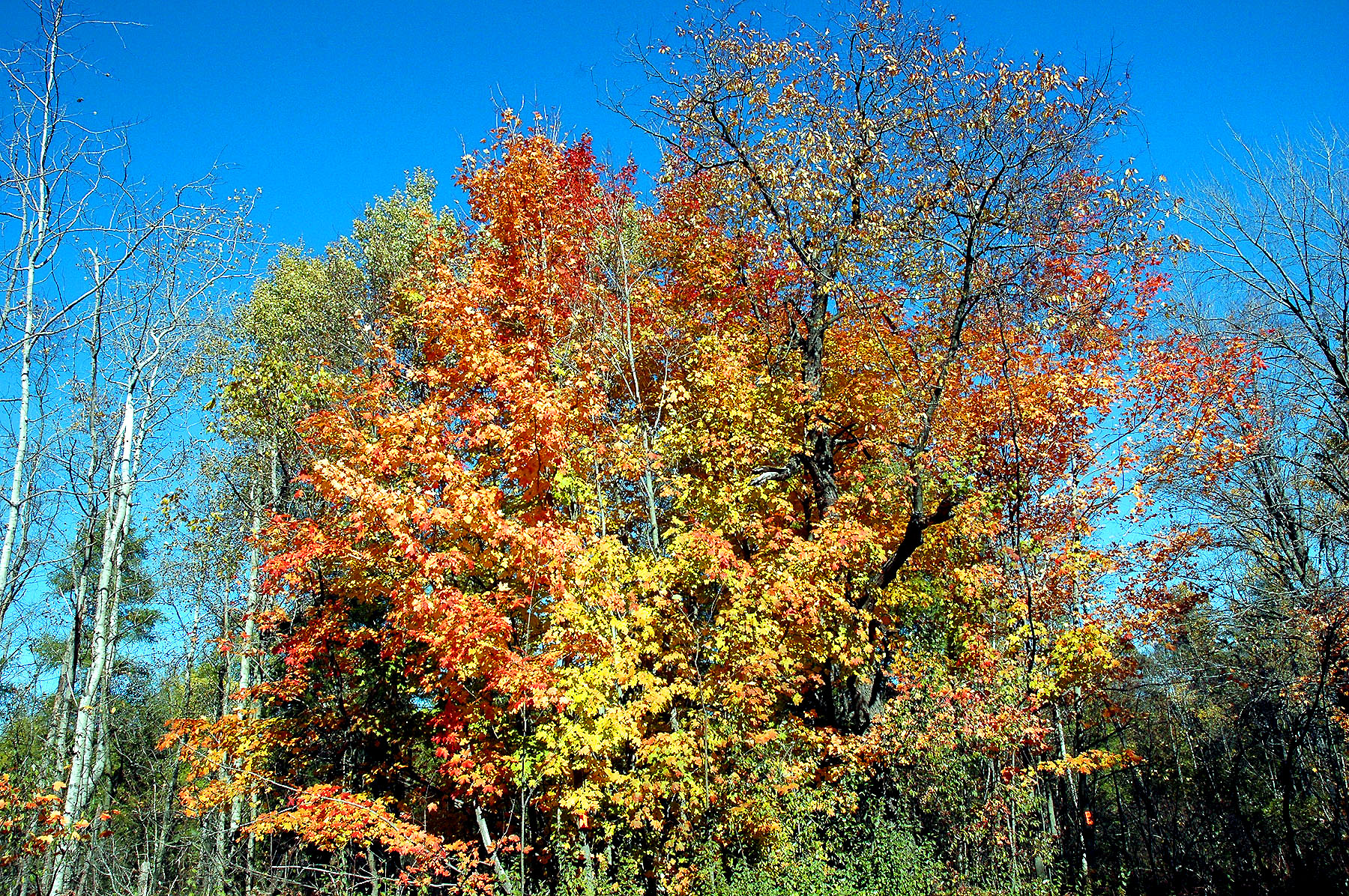 DSC_4174.JPG