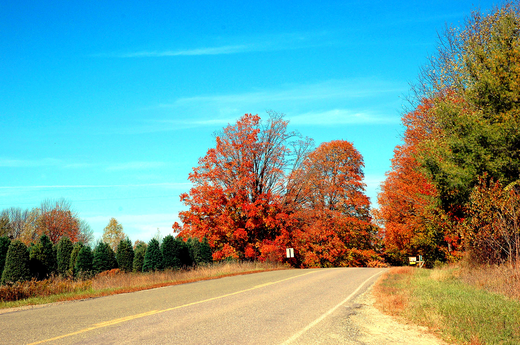 DSC_4175.JPG