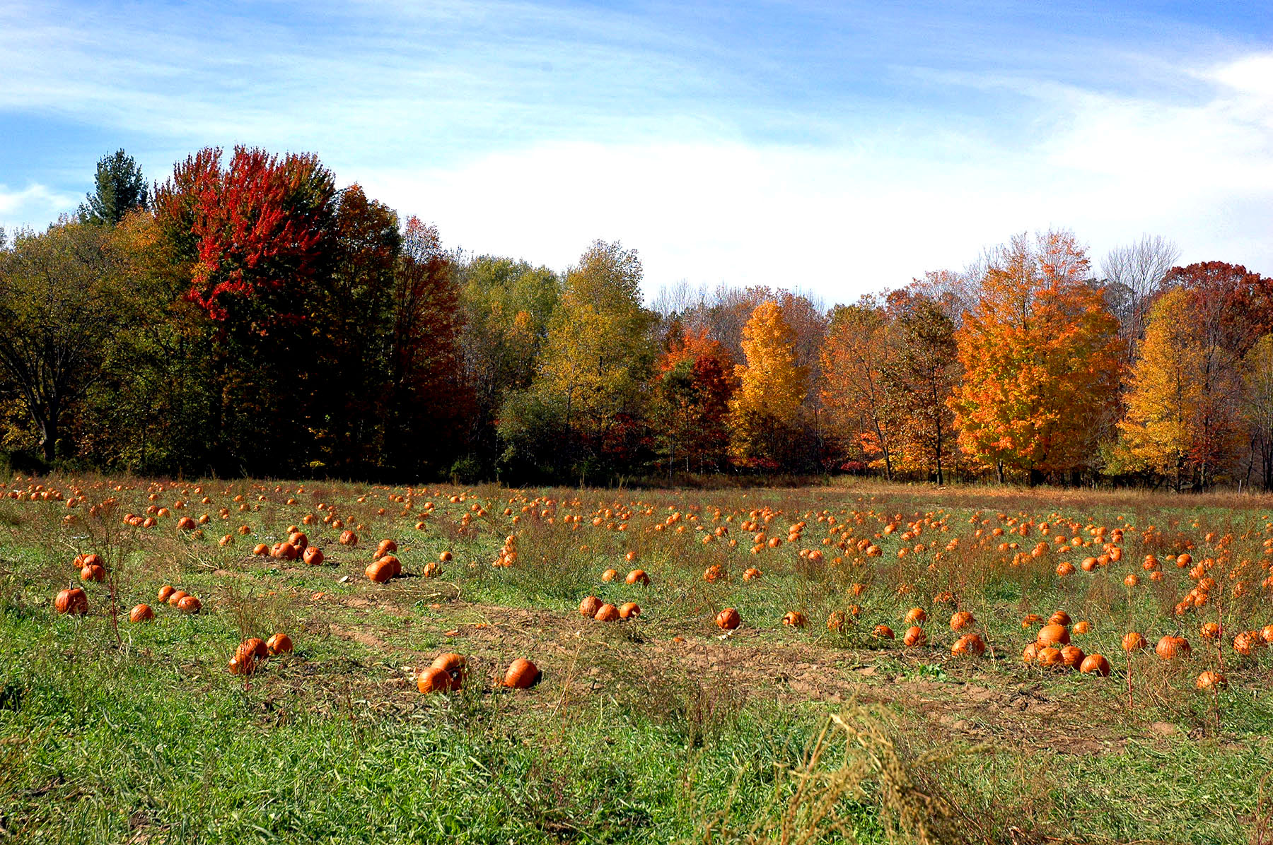 DSC_4178.JPG