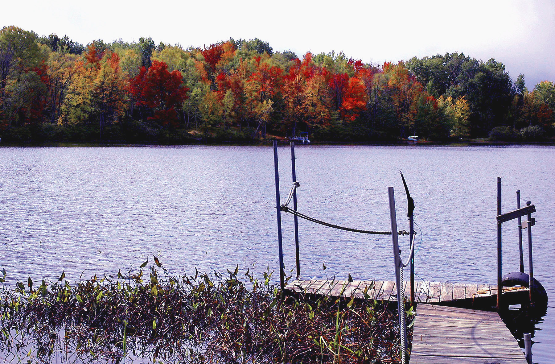 DSC_7167.JPG