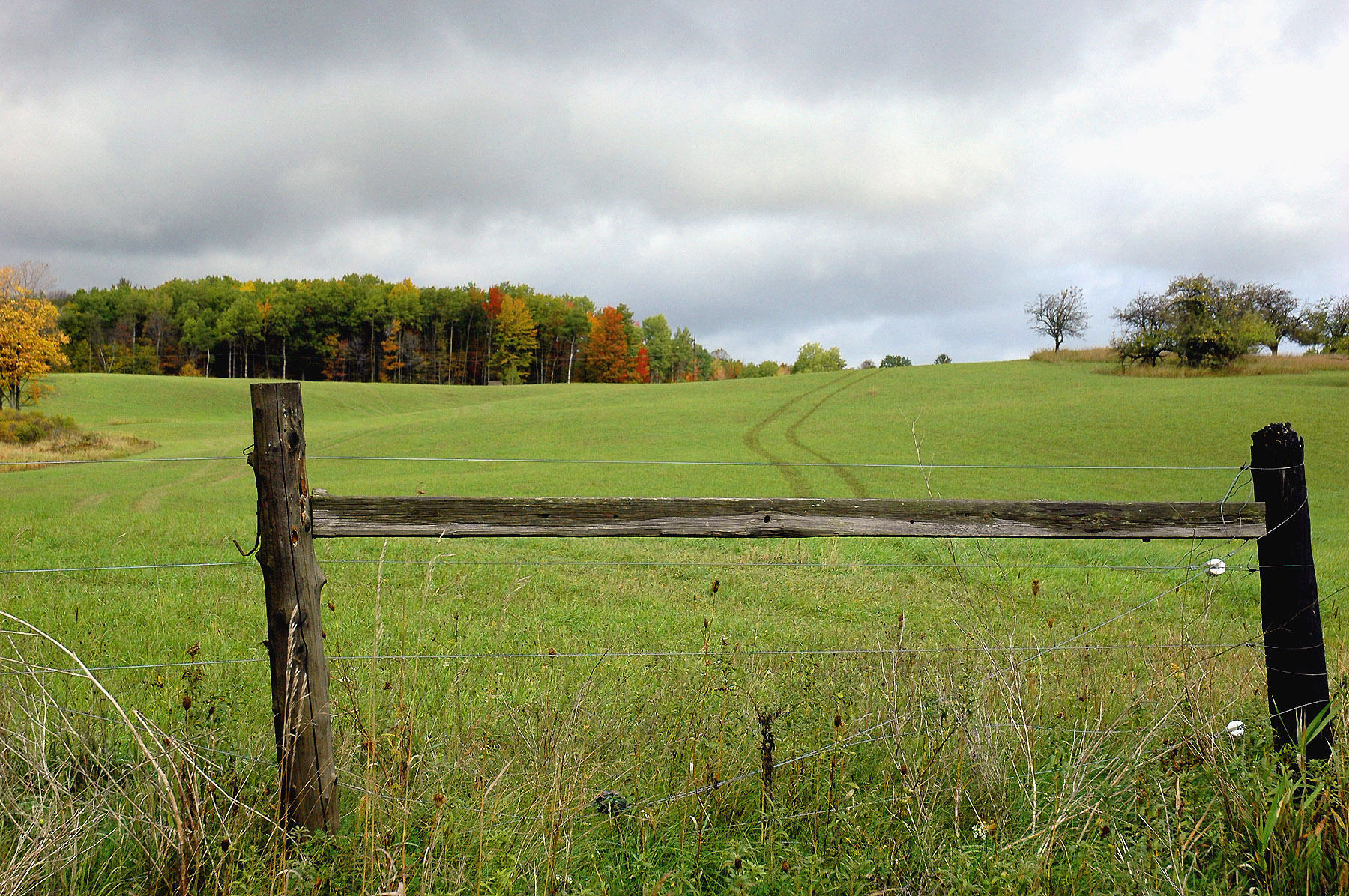 DSC_7169.JPG