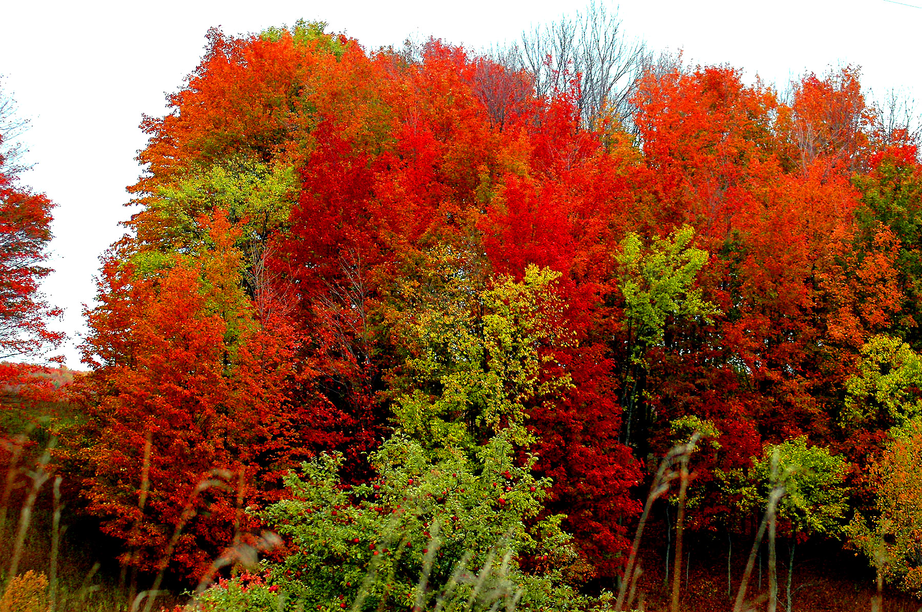 DSC_7182.JPG
