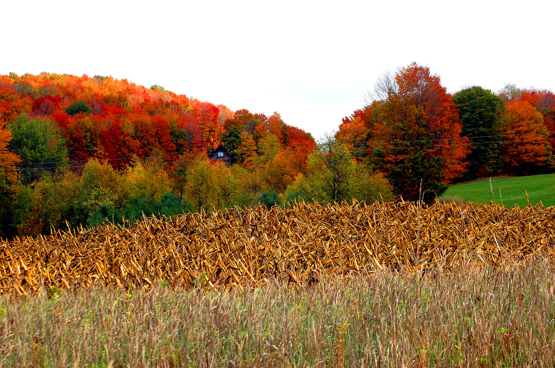 DSC_7183.JPG