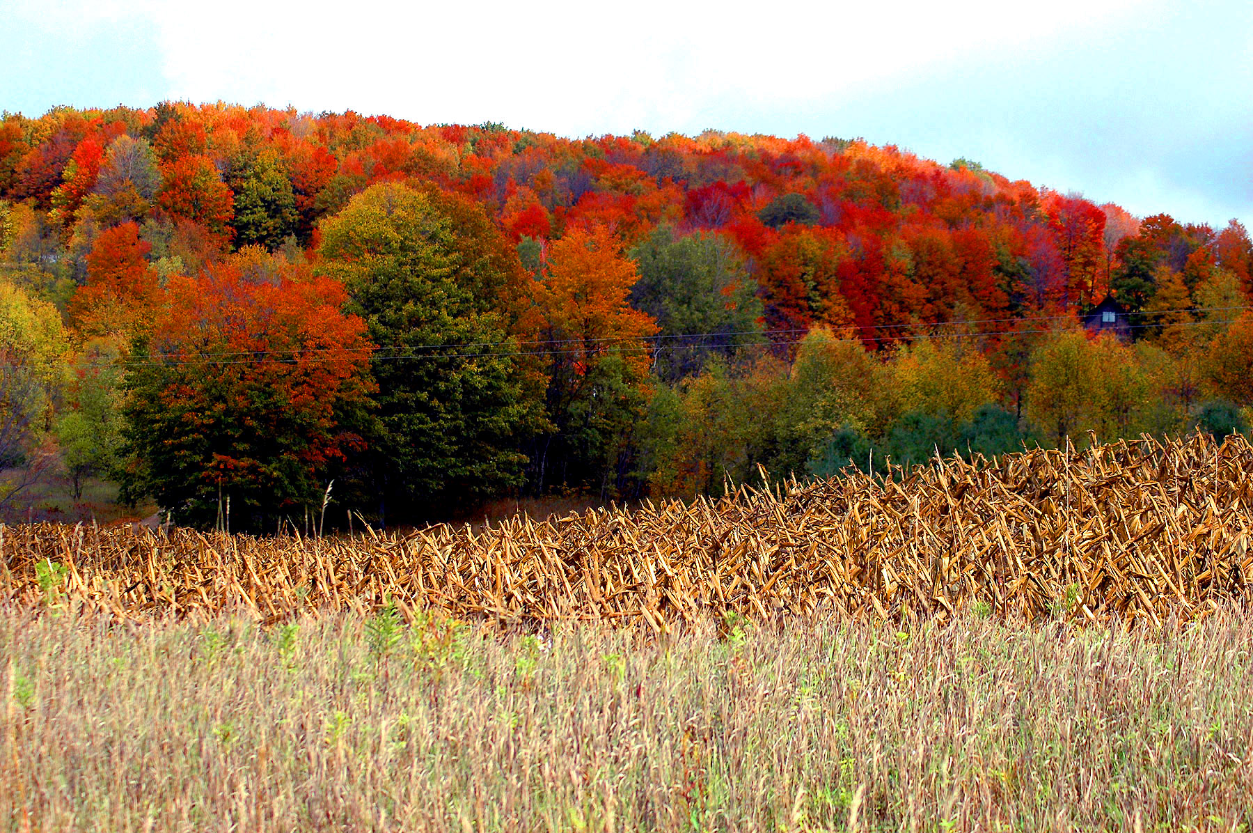 DSC_7184.JPG