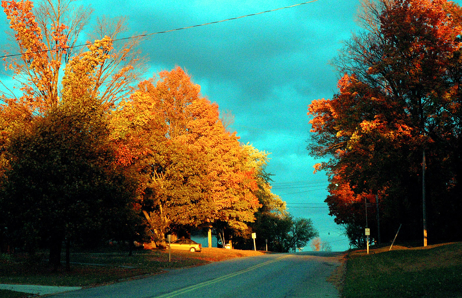 DSC_7197.JPG