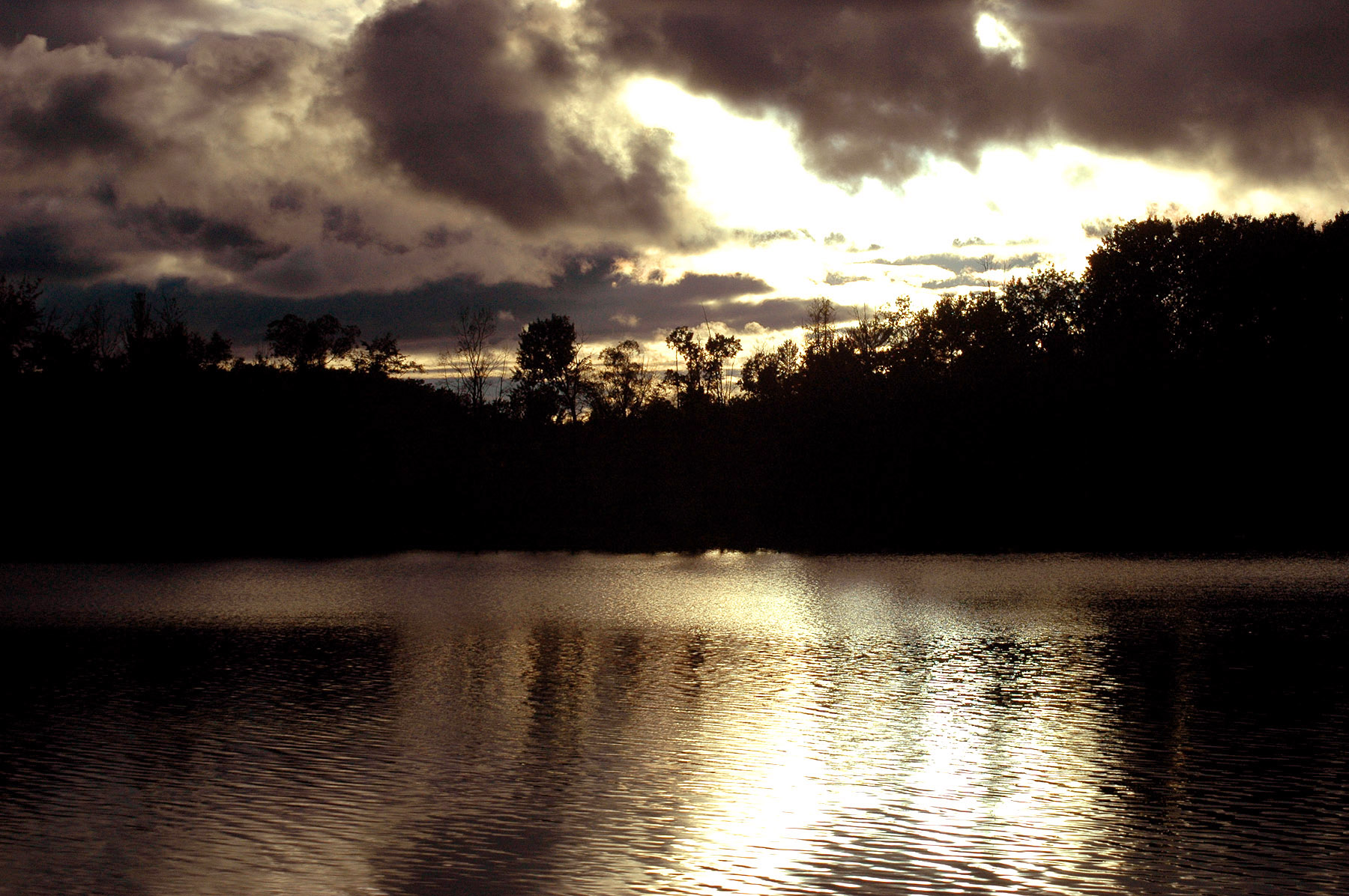 DSC_7203.JPG
