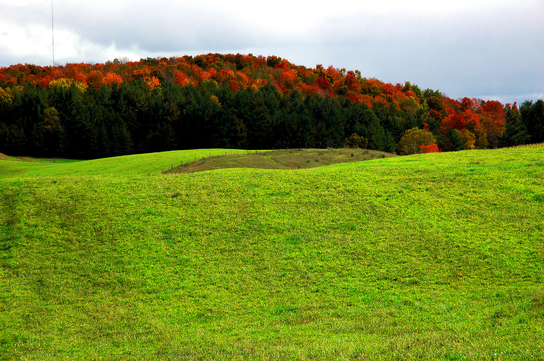 DSC_7243.JPG