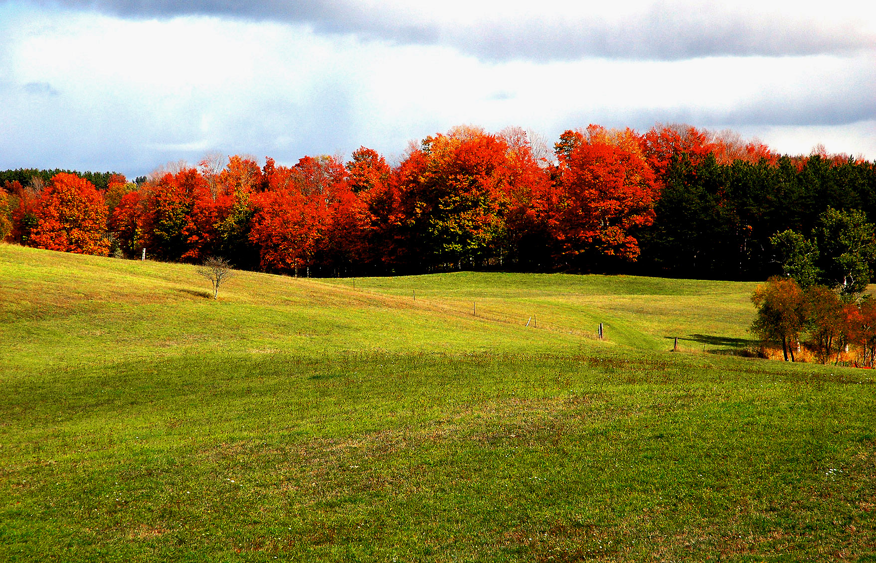 DSC_7244.JPG