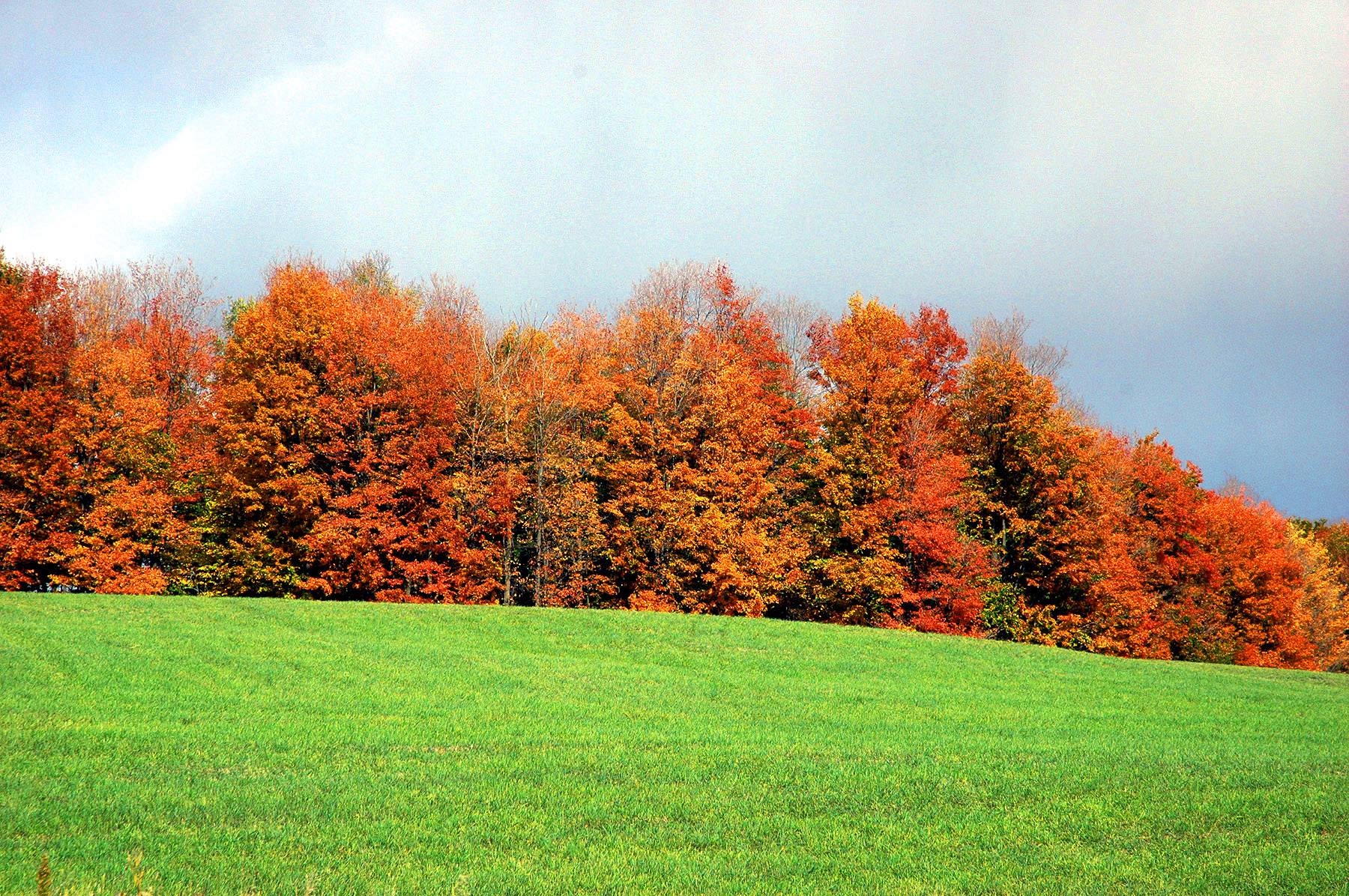 DSC_7248.JPG