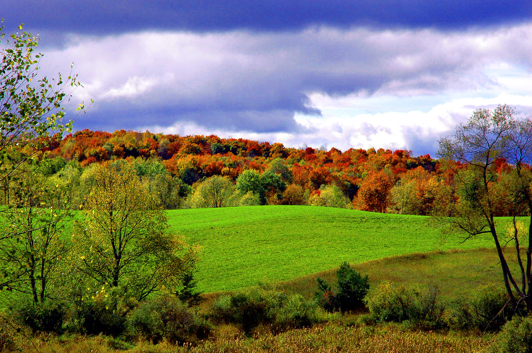DSC_7251.JPG