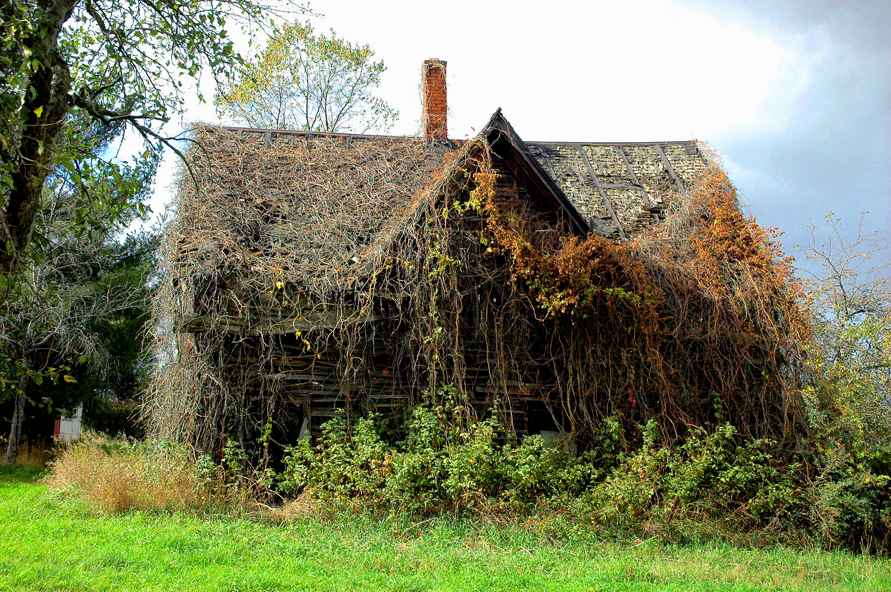 DSC_7254.JPG