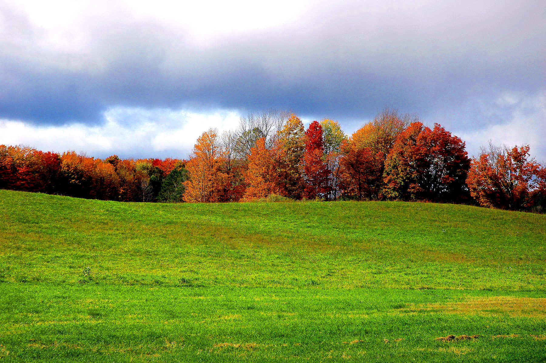 DSC_7256.JPG