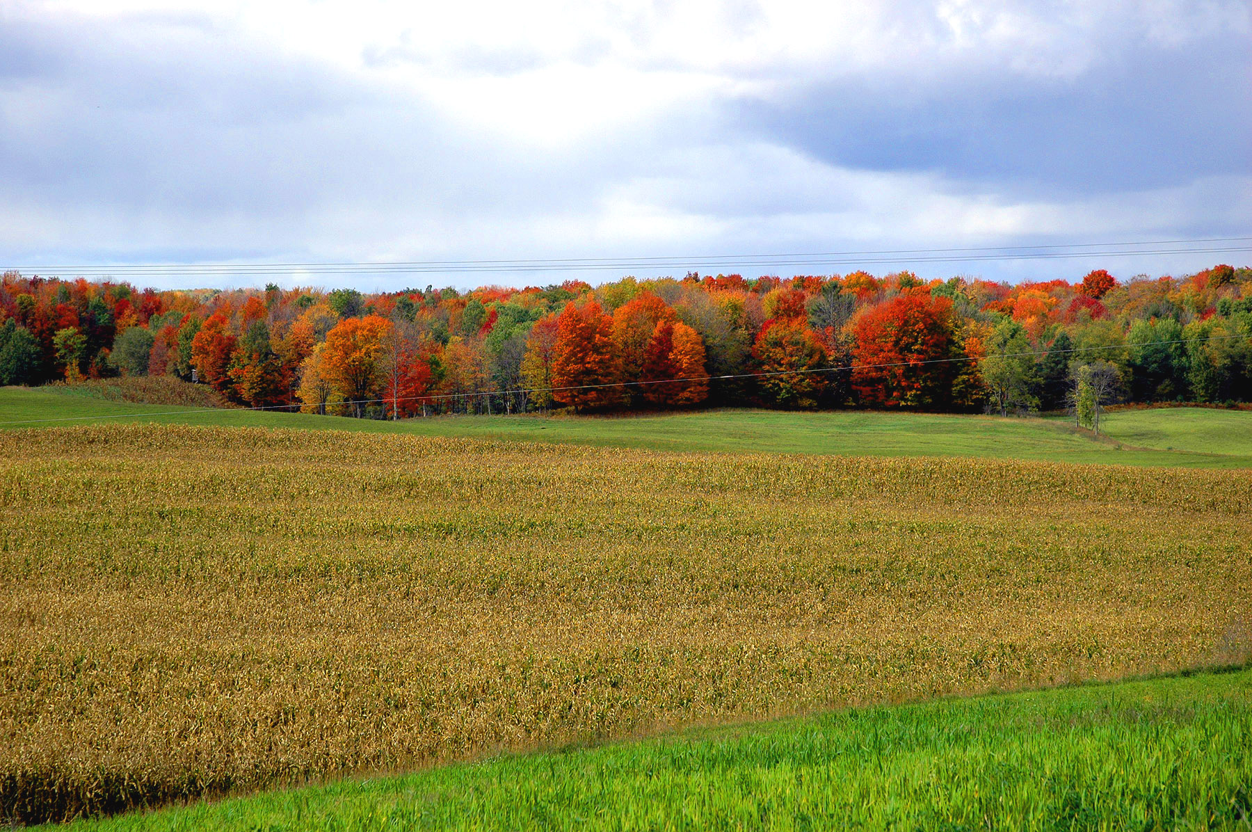 DSC_7257.JPG