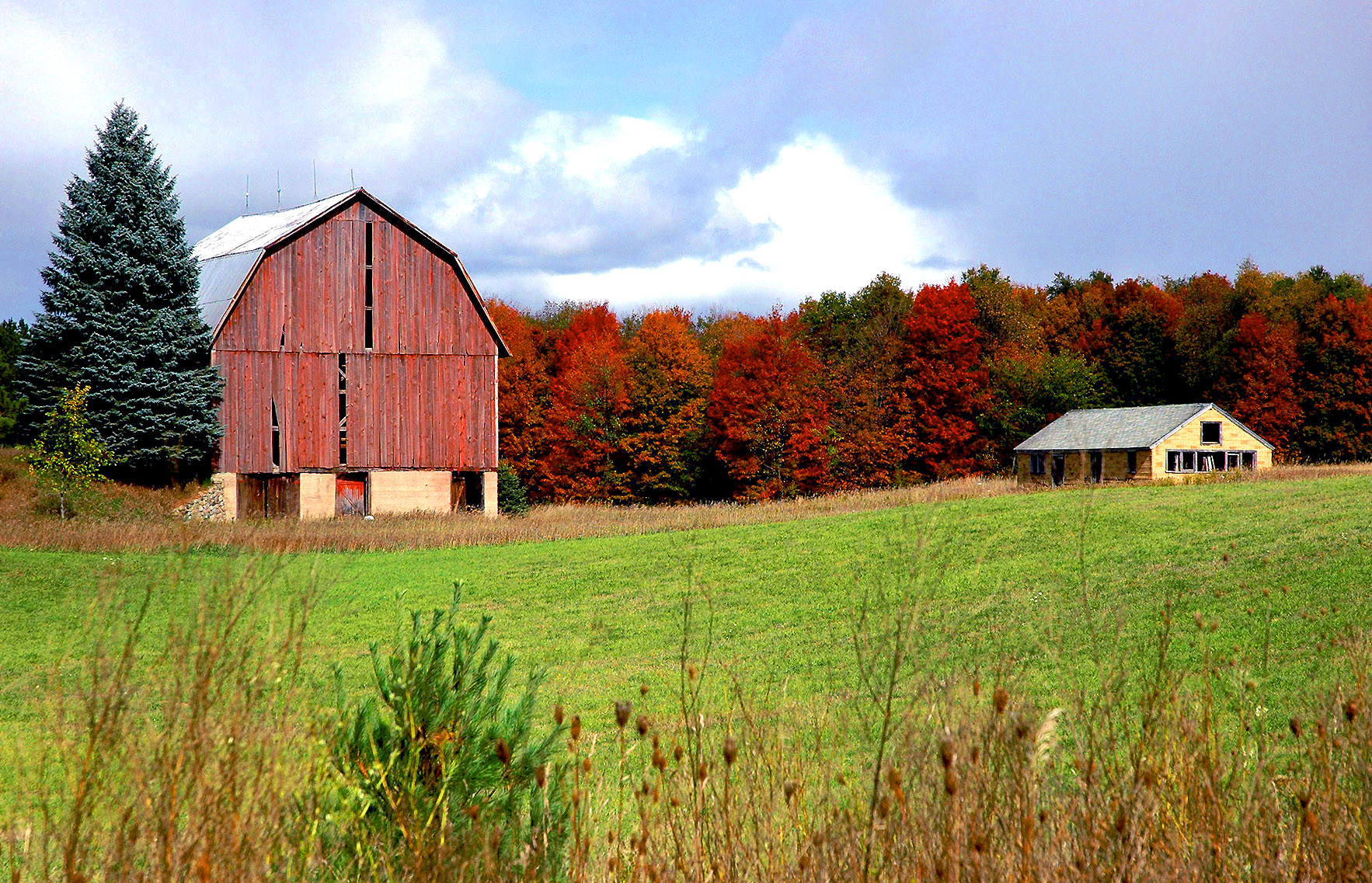 DSC_7259.JPG