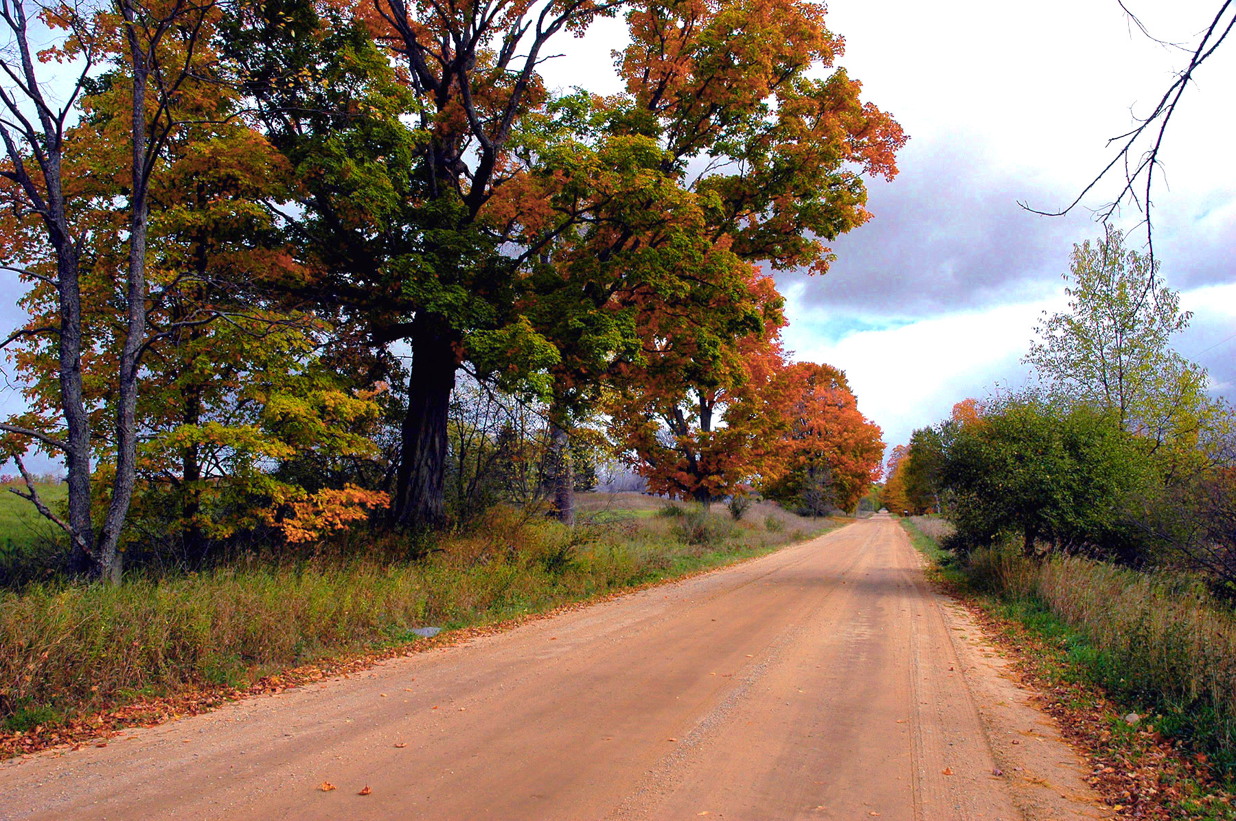 DSC_7265.JPG