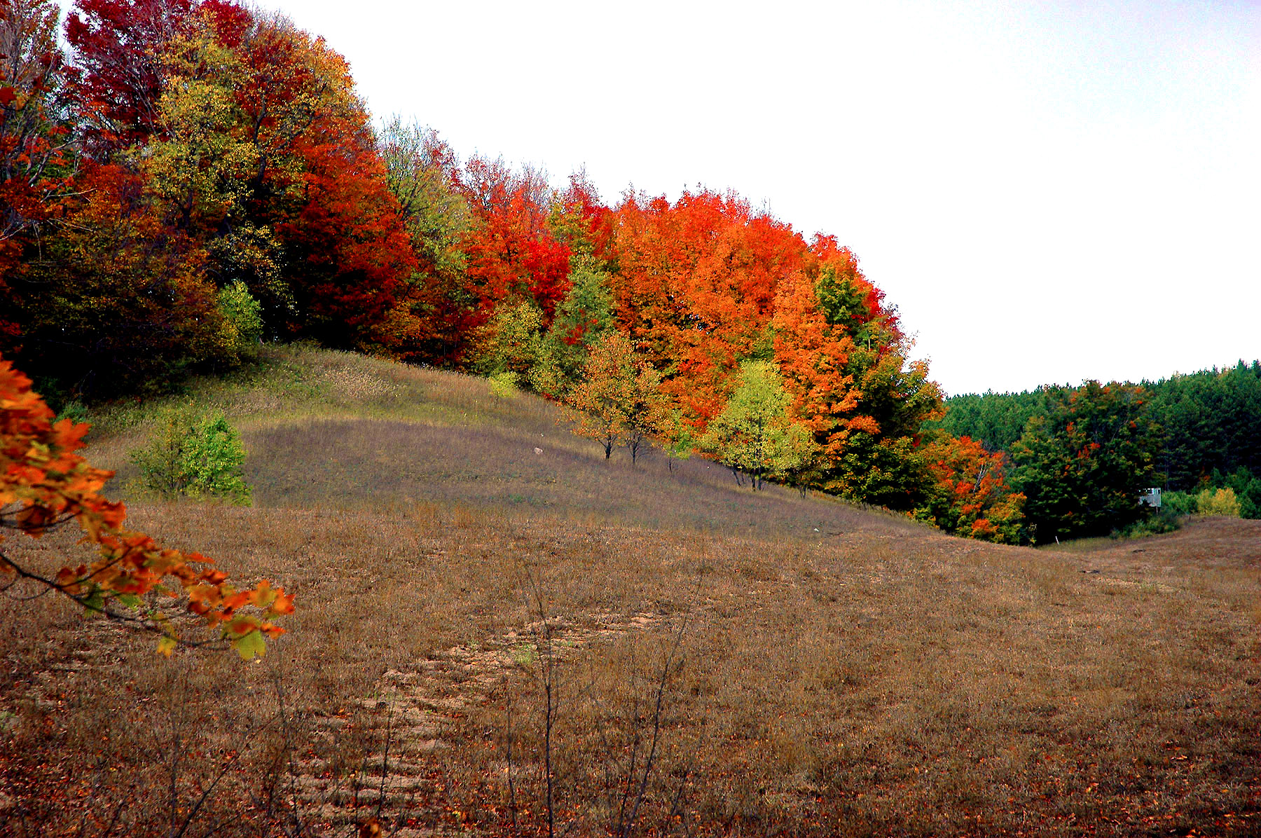 DSC_7266.JPG