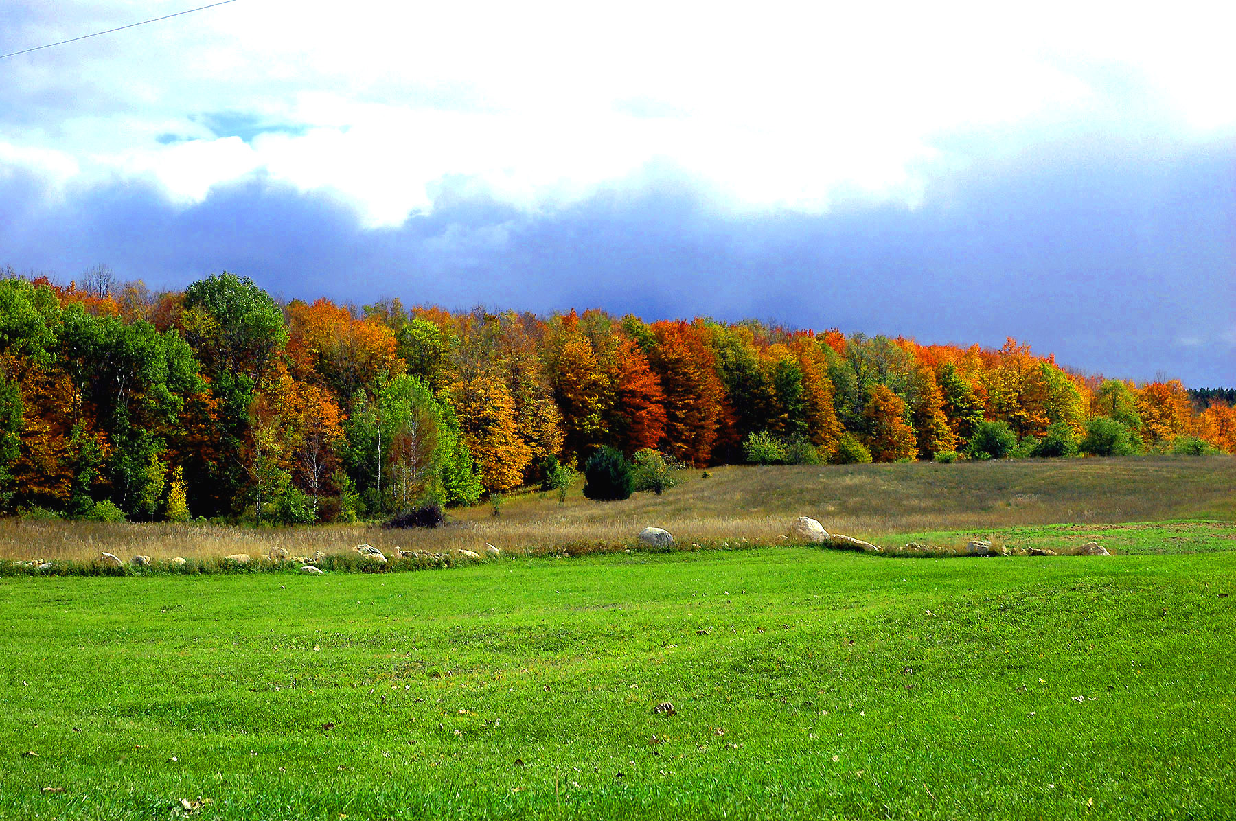 DSC_7271.JPG