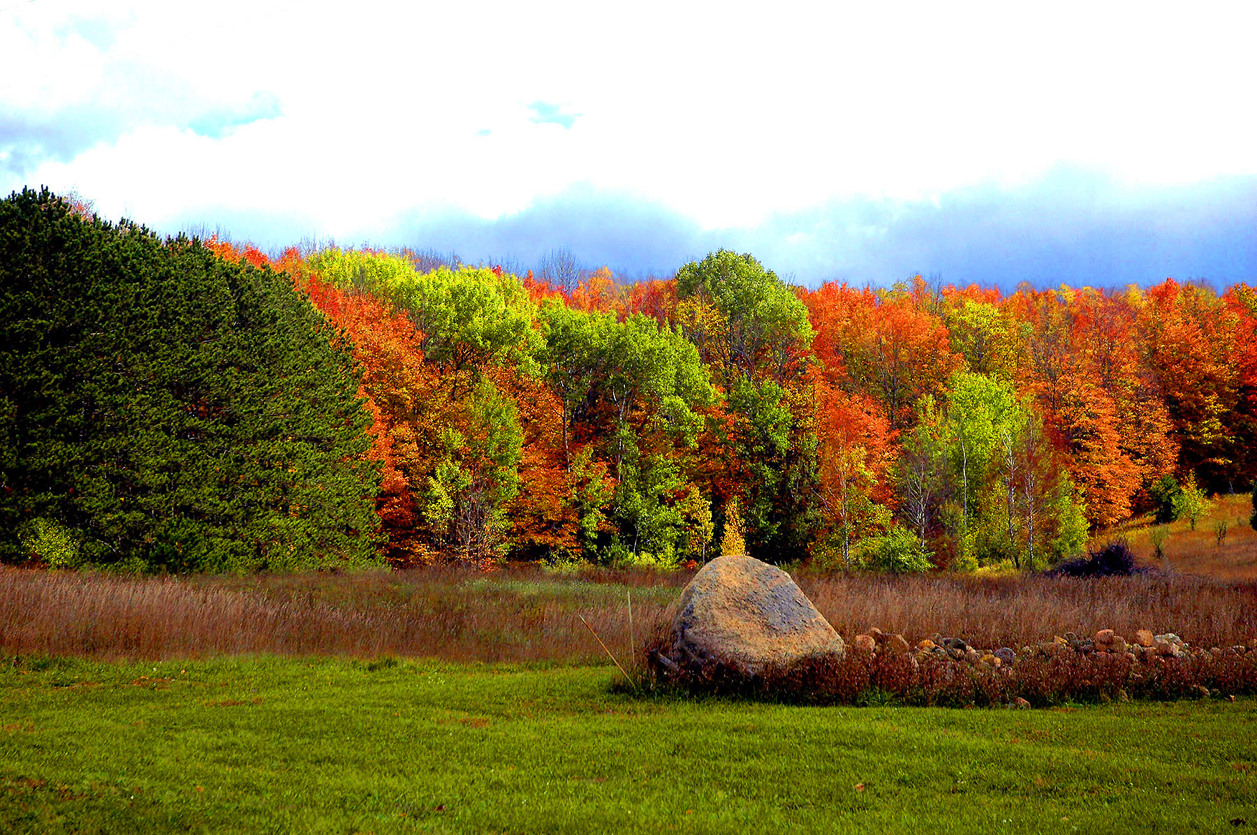 DSC_7273.JPG