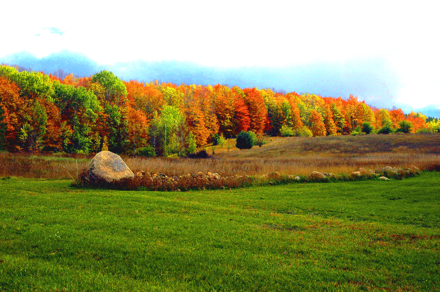 DSC_7274.JPG