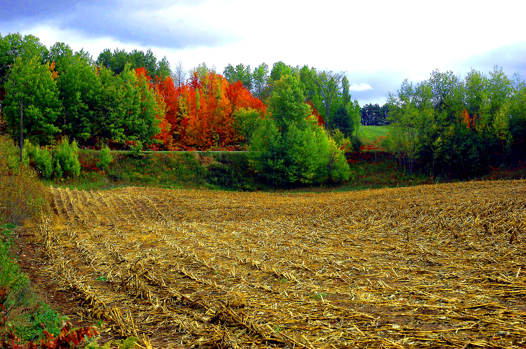 DSC_7276.JPG